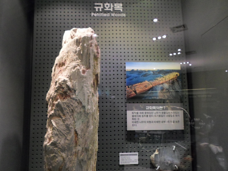 지질박물관 방문기